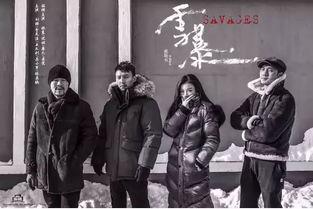 国产大片黄,国产大片中的璀璨明珠